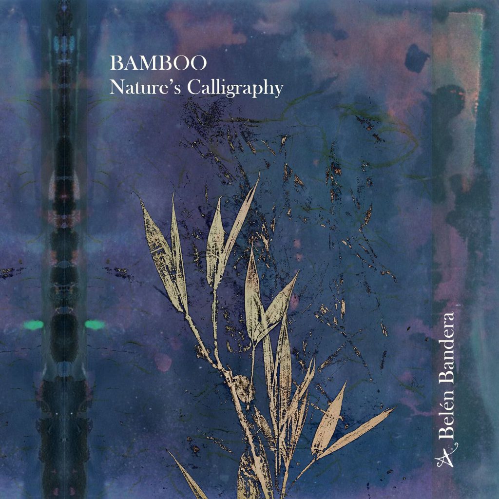 Bamboo disc de Belén Bandera